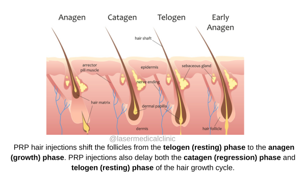 Prp Blog Post 2 Reasons Hair Shedding Possible (1)